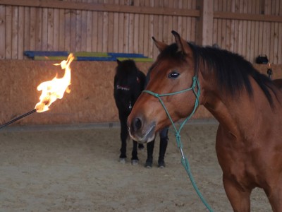 Kennenlernen von Feuer