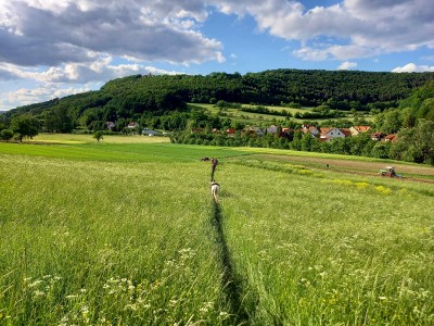 Einsame Pfade