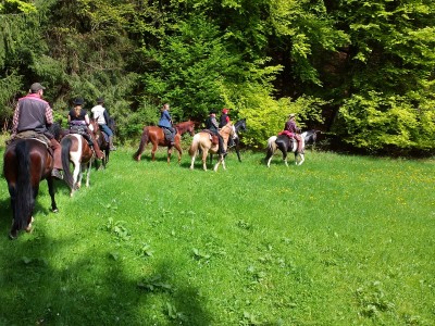 Lustige Gruppen